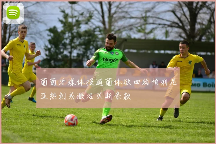 葡萄牙媒体报道葡体欲回购帕利尼亚热刺或激活买断条款