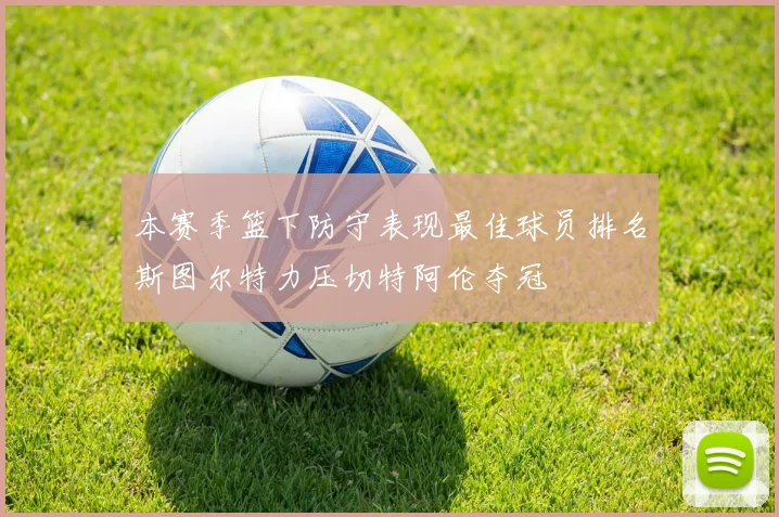 本赛季篮下防守表现最佳球员排名斯图尔特力压切特阿伦夺冠