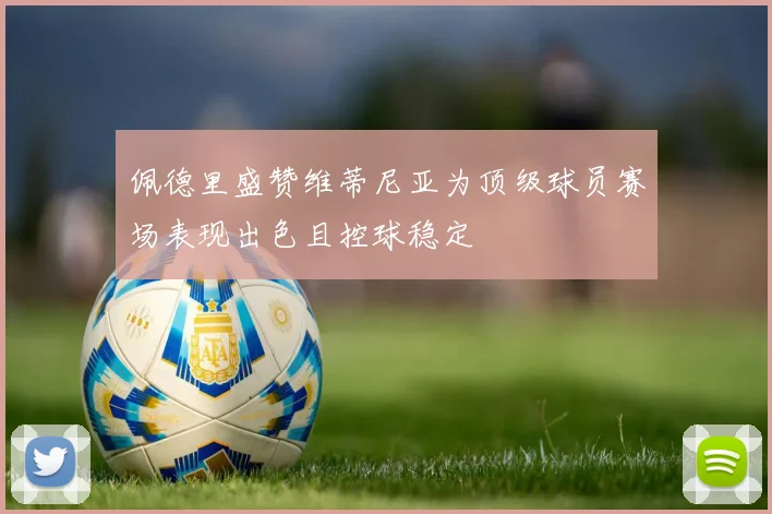 佩德里盛赞维蒂尼亚为顶级球员赛场表现出色且控球稳定
